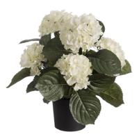 Louis maes Kunstplant - Hortensia hydrangea - wit - in pot - 44 cm - met bloemen