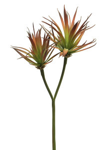 Agave plant pick x2 red 64cm - Nova nature