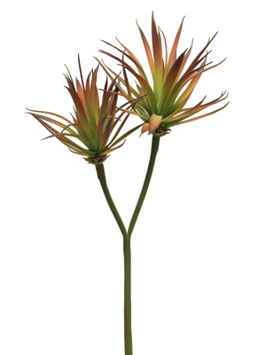 Agave plant pick x2 red 64cm - Nova nature