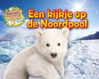 Een kijkje op de Noordpool (Hardback)
