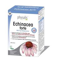 Echinacea forte - thumbnail