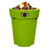Cosidrum gashaard groen
