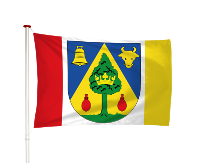 Vlag Drogeham - Droegeham (fr)