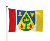 Vlag Drogeham - Droegeham (fr)