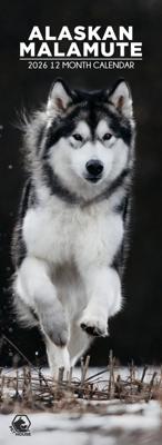 Alaskan Malamute Slimline Kalender 2026 Alaskan Malamute Slimline Kalender 2026