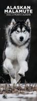 Alaskan Malamute Slimline Kalender 2026
