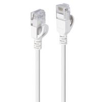 LINDY 47590 RJ45 Netwerkkabel, patchkabel CAT 6A U/FTP 0.30 m Grijs 1 stuk(s)