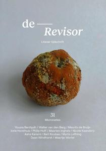 Revisor 31 (Paperback)
