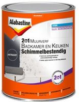 Alabastine 2-in-1 Muurverf Badkamer en Keuken Schimmelbestendig - 1 liter Antraciet