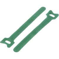 TRU COMPONENTS TC-MGT-180GN203 Klittenband kabelbinder Om te bundelen Haak- en lusdeel (l x b) 180 mm x 12 mm Groen 1 stuk(s)