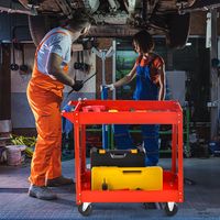 Werkplaatswagen met 2 Etages Gereedschapswagen met Handgreep Werkplaatswagen van Metaal 85 x 41 x 79 cm Rood / Zwart