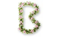Bloemenstreng Basil Rozen - Roze