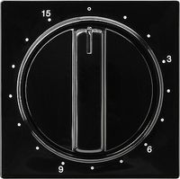 GIRA INZPL TIMER 15MIN ZW SC