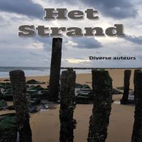 Het strand