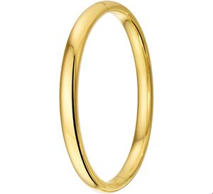 TFT Slavenband Goud Scharnier Halfronde Buis 7 X 64 mm