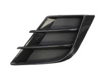 Ventilatiegrille, bumper 6502073477915P