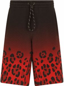 Dolce & Gabbana short à imprimé léopard - Rouge