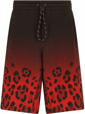 Dolce & Gabbana short à imprimé léopard - Rouge