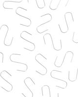 HEMA Kerstboomhaakjes zilver (zilver)