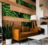Fotobehang muurplanten met houten planken