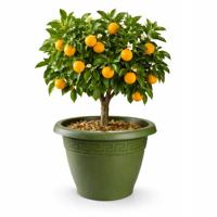 Plasticforte Plantenpot - donkergroen - 35 x 28 cm - bloempot - kunststof - rond