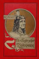 De schat in het Zilvermeer (Paperback)