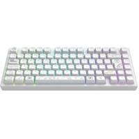 Dark Project ALU81A Terra Nova WH Draadloos TKL Mechanisch Gaming Toetsenbord