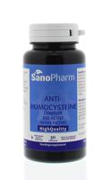 Anti-homocysteine complex foodstate