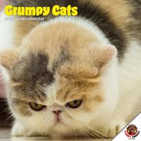 Grumpy Cat Kalender 2026