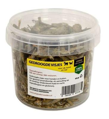 UTOPIA GEDROOGDE VISJES KAT