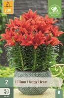 Lelie happy heart
