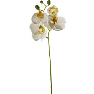 Kunstbloem Orchidee - 56 cm - wit - losse tak - kunst zijdebloem - Phalaenopsis   -