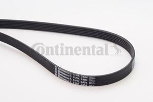 Poly V-riem CONTINENTAL CTAM, u.a. für Jeep, Audi, VW, Chevrolet, Skoda, Opel