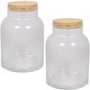 2x Glazen terrarium vazen 11 liter met kurk deksel 21 x 31 cm