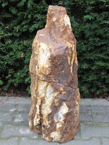 Versteend hout MA-36, 63 cm