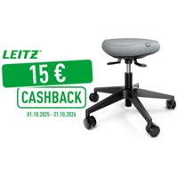 Leitz Ergo actieve Zitkruk met comfortzitting, met wieltjes, zwart