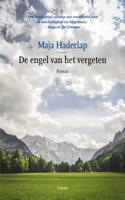 De engel van het vergeten (Paperback)
