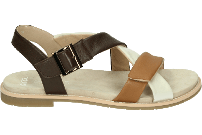 Ara 1253606 ELBA-S - alle