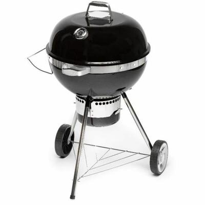 Barbecue Draagbare Fieldmann FZG 1017 Metaal Staal