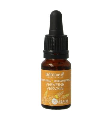 Vervain bio