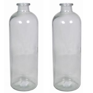 Set van 2x stuks glazen vaas/vazen 3,5 liter smalle hals 11 x 33 cm