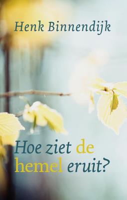 Hoe ziet de hemel eruit? (Paperback)