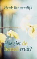 Hoe ziet de hemel eruit? (Paperback)