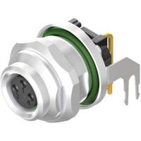 Weidmüller 2424360000 Sensor/actuator inbouwconnector M8 Aantal polen: 4 Stekker, inbouw horizontaal 10 stuk(s) - thumbnail