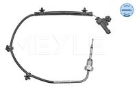 Sensor, uitlaatgastemperatuur 6148000072