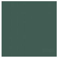 DDDDD theedoek logo 60 x 65 cm groen - thumbnail