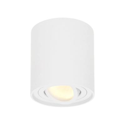 Ronde LED Opbouwspot Ray - 4 Watt 345 lumen - 2700K warm wit - Kantelbaar - GU10 - Opbouwspot - IP20 Voor binnen - Wit - Dimbaar