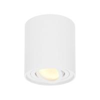 Ronde LED Opbouwspot Ray - 4 Watt 345 lumen - 2700K warm wit - Kantelbaar - GU10 - Opbouwspot - IP20 Voor binnen - Wit - Dimbaar