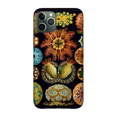 Haeckel Ascidiae: Volledig geprint iPhone 11 Pro Hoesje