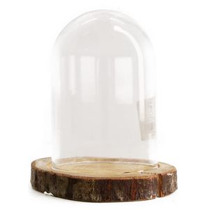 Decoratie stolp - glas - houten bruin boomschijf plateau - D13 x H17,5 cm